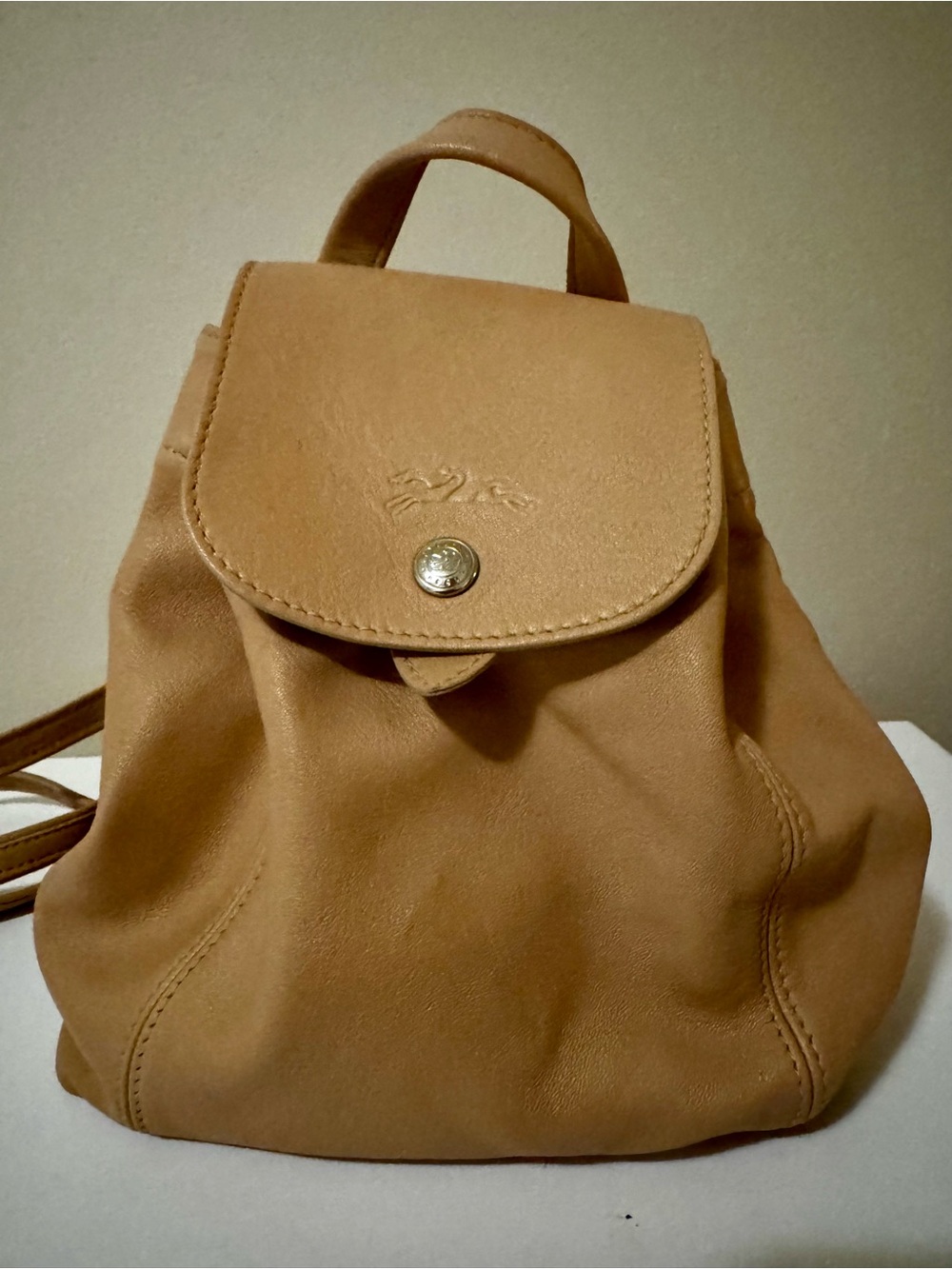 Longchamp Le Pliage Cuir Backpack XS